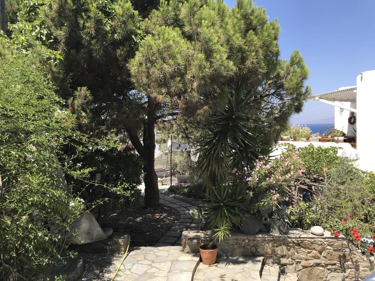 Studios & Suites Rania Mykonos Town Zewnętrze zdjęcie