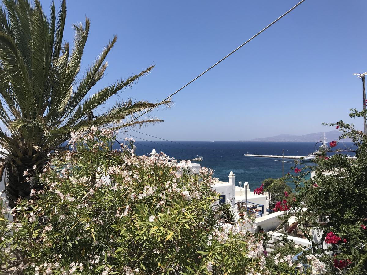 Studios & Suites Rania Mykonos Town Zewnętrze zdjęcie