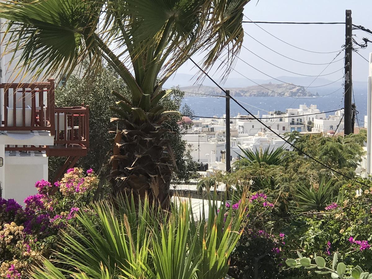 Studios & Suites Rania Mykonos Town Zewnętrze zdjęcie